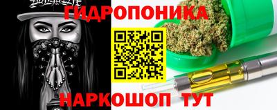 дживик Кингисепп