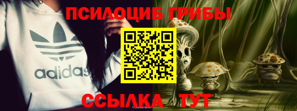 Псилоцибиновые грибы Psilocybe  Псилоцибиновые грибы Psilocybe  где купить   Вход с VPN  Красноармейск 